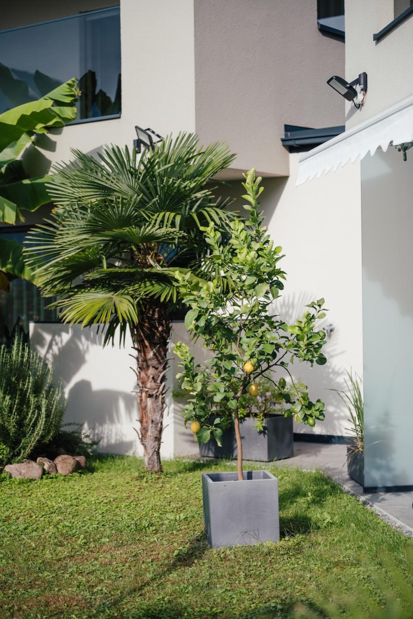 Garden Lodge 加尔加佐内 外观 照片